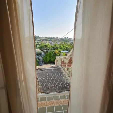 Apartment Bilocale In Centro Ischia Forio (Isola d'Ischia)